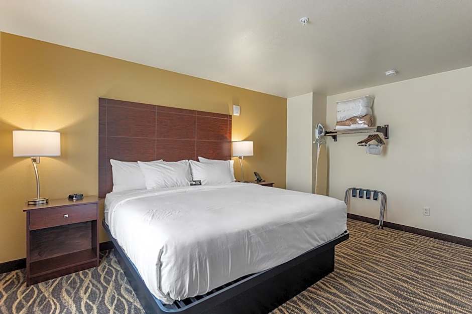 Cobblestone Hotel & Suites - De Pere