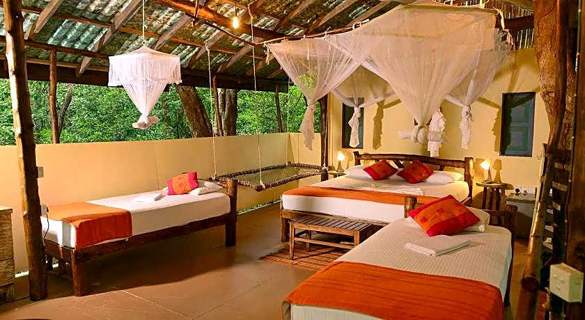 Back of Beyond Pidurangala