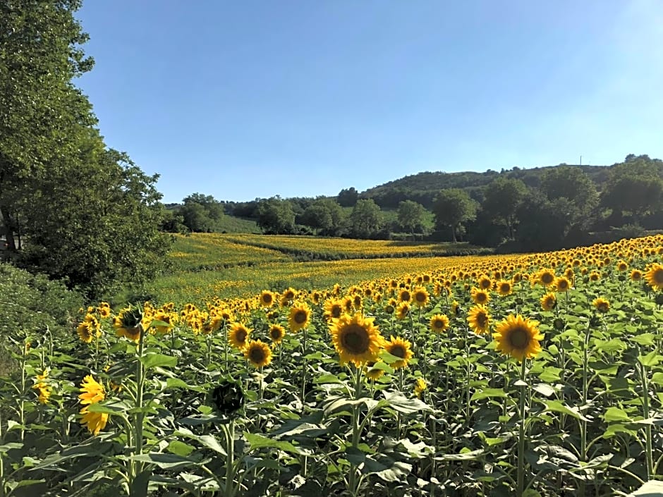 Le grenier occitan