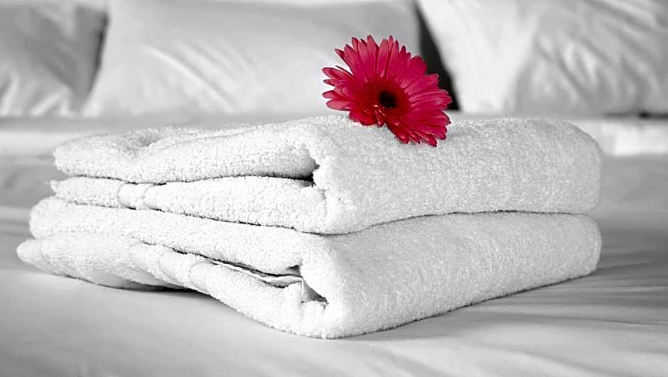 Econo Lodge Inn & Suites