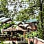 Asim Paris Guesthouse & jungle trekking