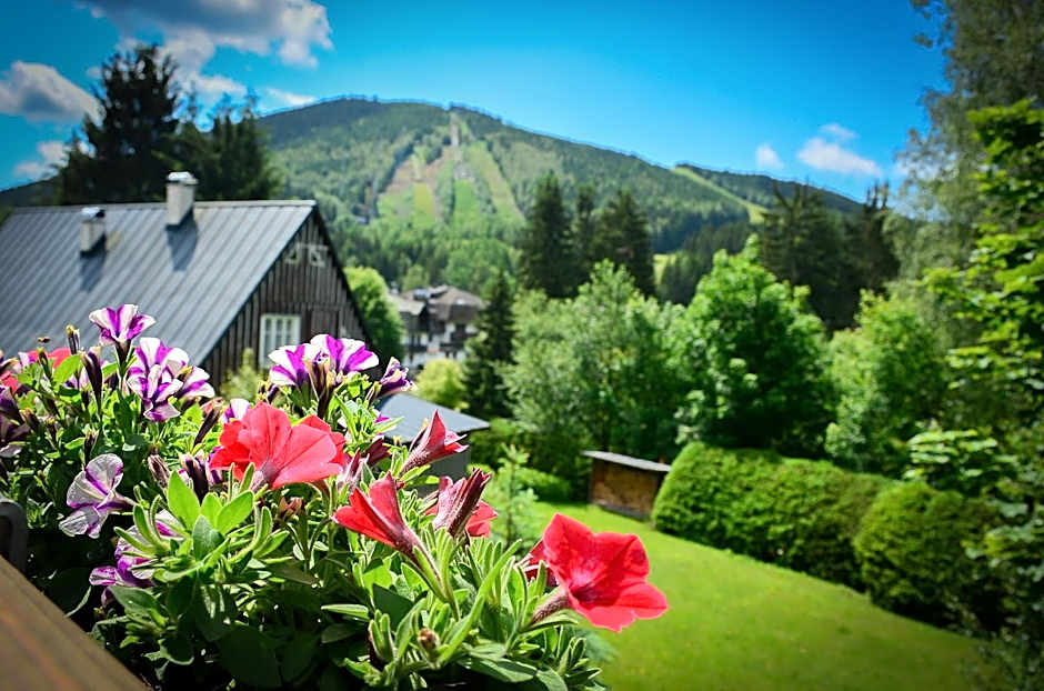 Hotel Friuli