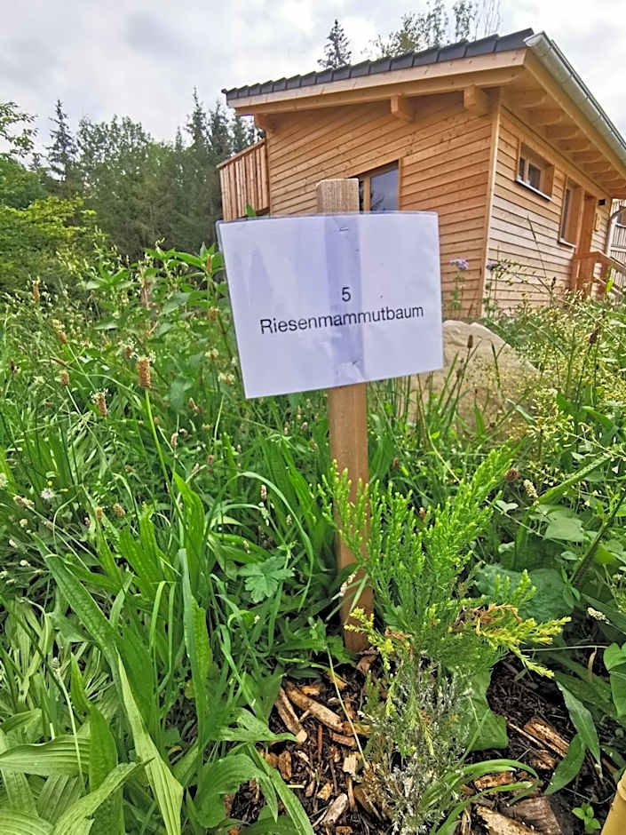 Wald ist Zukunft