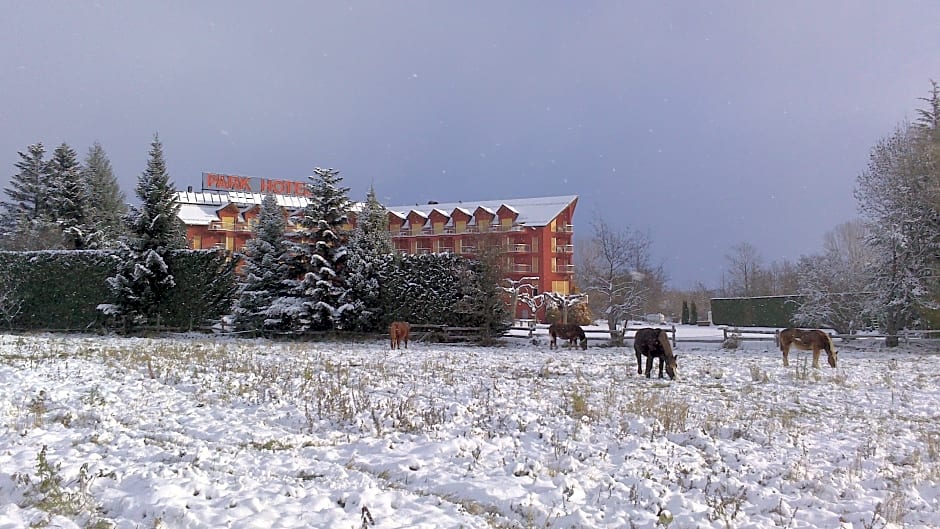 Puigcerda Park Hotel