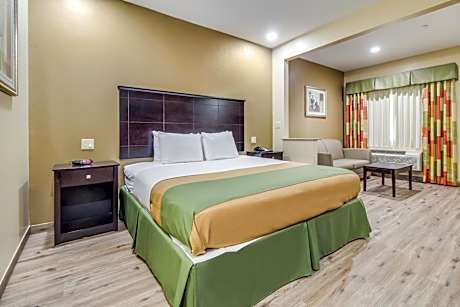 King Room with One King Bed