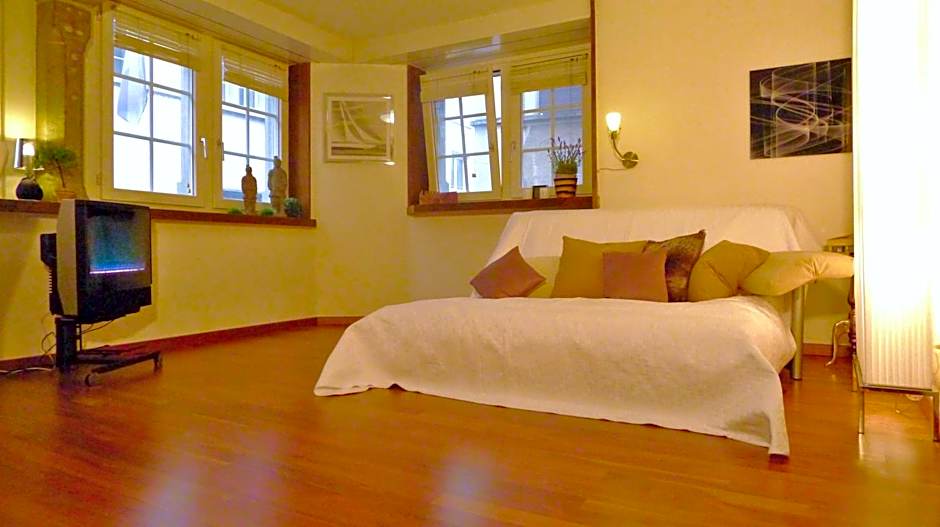 In the heart of Zurich - pedestrian area - close to central, main train station and riverside