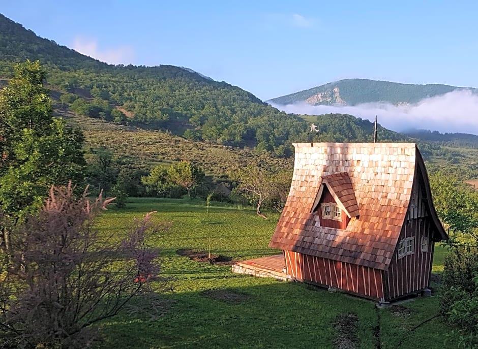 Chambre d'hôte insolite