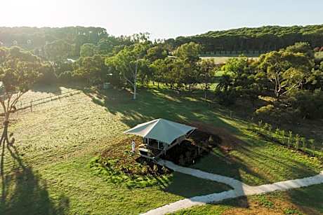 CANVS by CABN Seppeltsfield Barossa