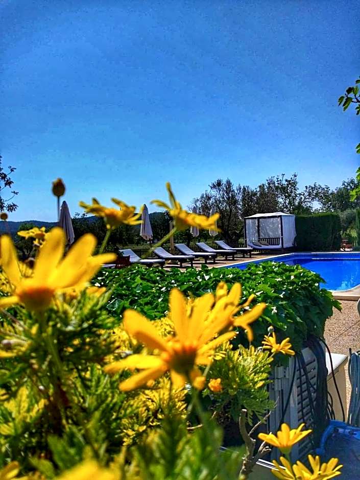 Agroturismo Sa Vinya d'en Palerm