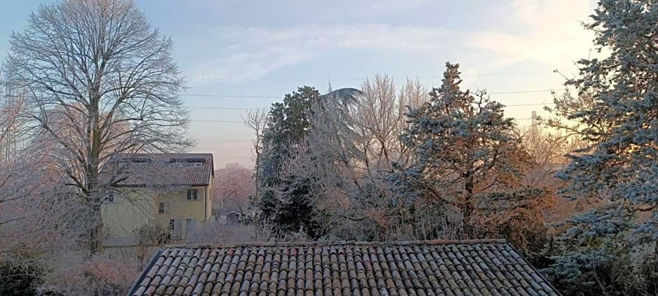 Acero Giallo