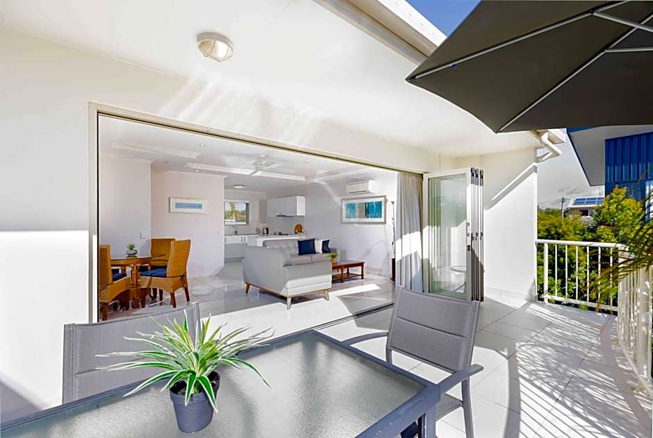 Noosa River Palms