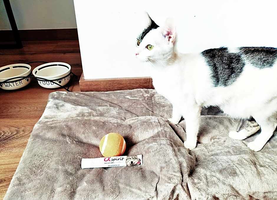 Hotel Matilde by gaiarooms