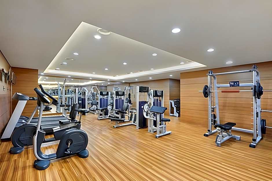 HOTEL SKYPARK CENTRAL SEOUL PANGYO 