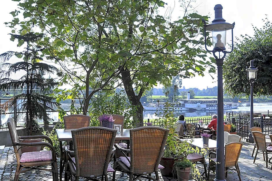 Elbterrasse Wachwitz