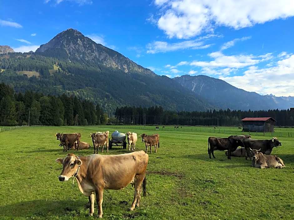 Steinbock Bed & Breakfast