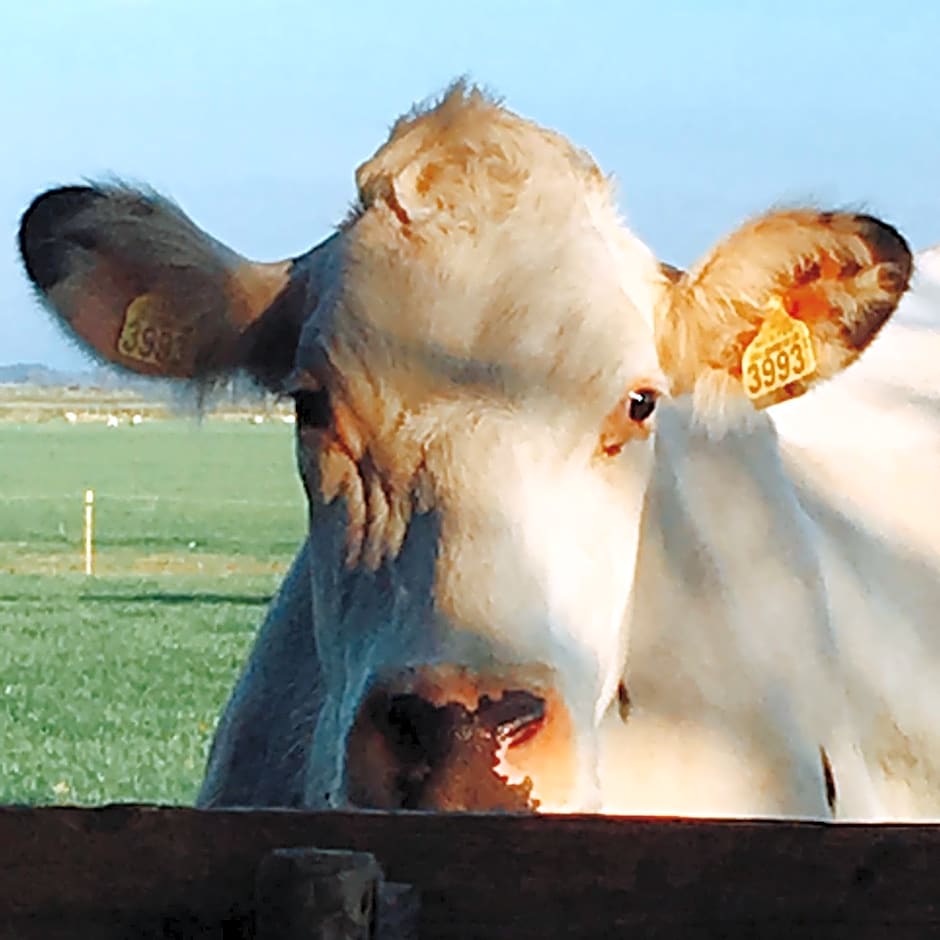 B&B De Pauw - Country Home Cooking