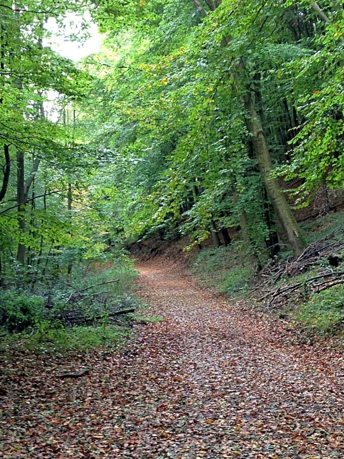 Waldhotel Porta Westfalica