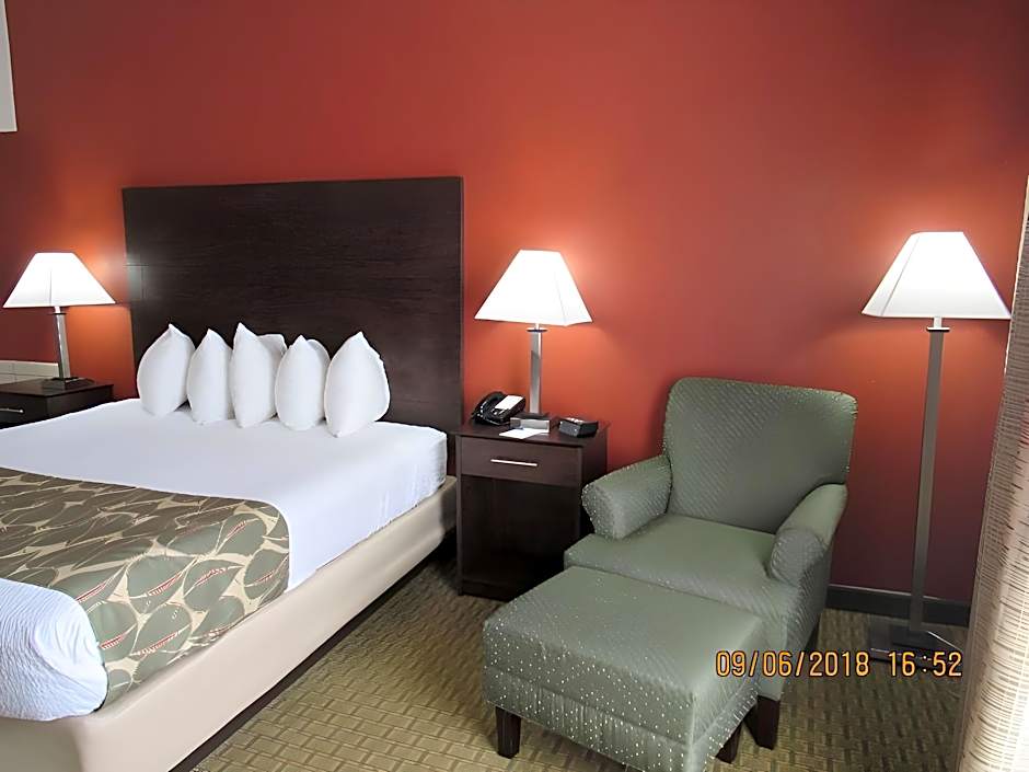 Best Western Executive Inn