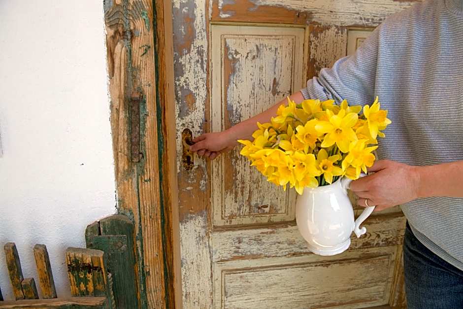 Reichau Transilvania