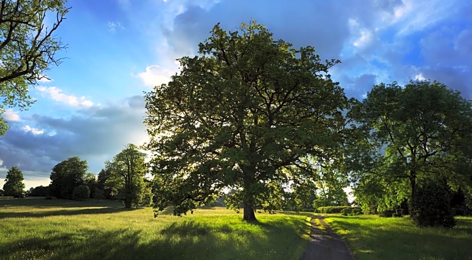 La Tiny du Parc : Saint Symphorien des Monts