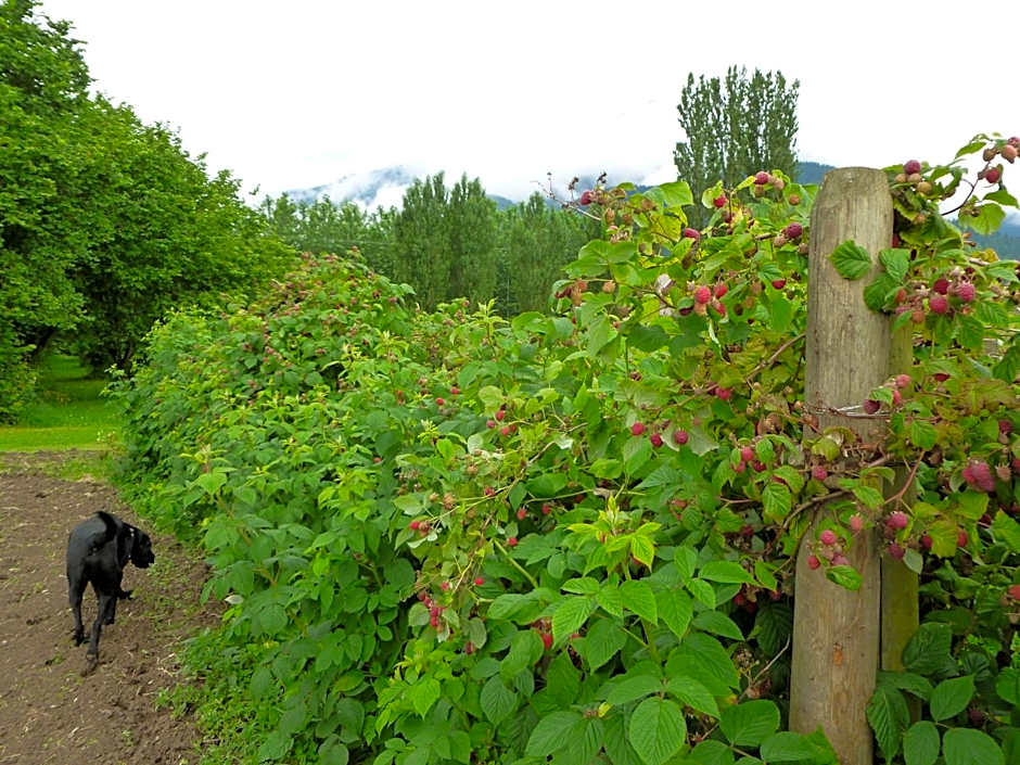 Harrison Hammond House Farmstay