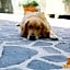 I Fiori di Margherita Luxury B&B