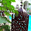Riad Dar Moulay Ali