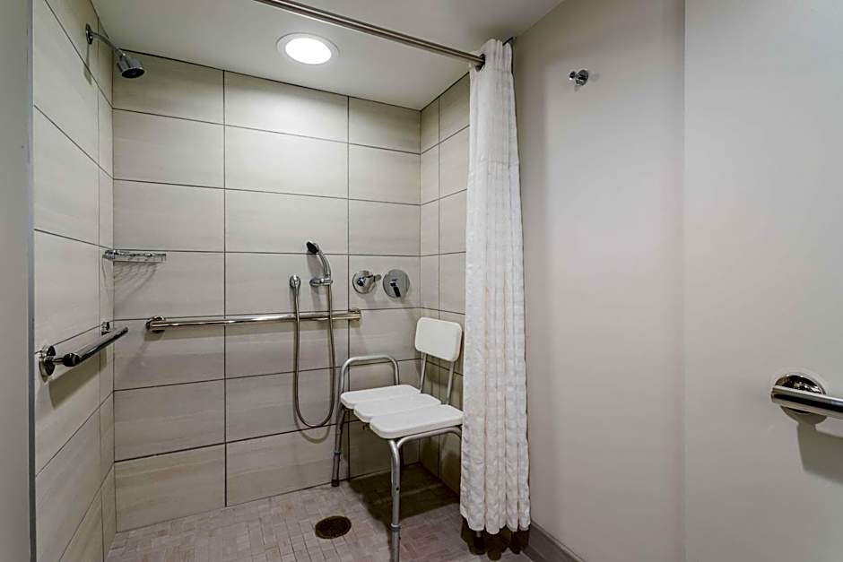 Embassy Suites By Hilton Hotel Tampa-USF/Near Busch Gardens