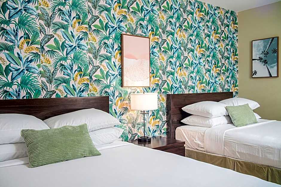 The Local - St. Augustine