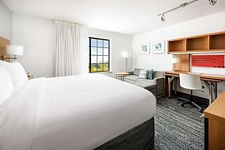 Studio, 1 King Bed with Sofa bed (1 King Bed and 1 Double Sofa Bed)