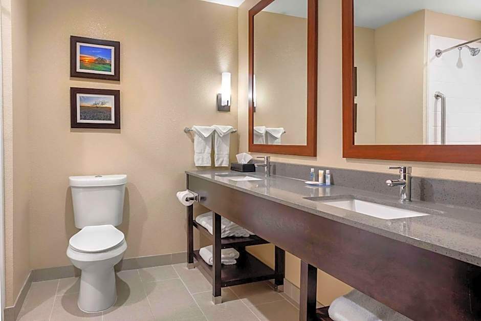 Comfort Inn & Suites Euless DFW West