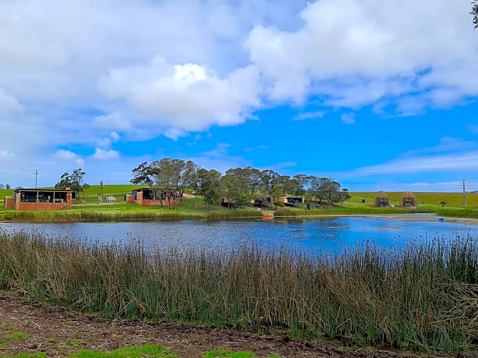Buff & Fellow Eco Cabins