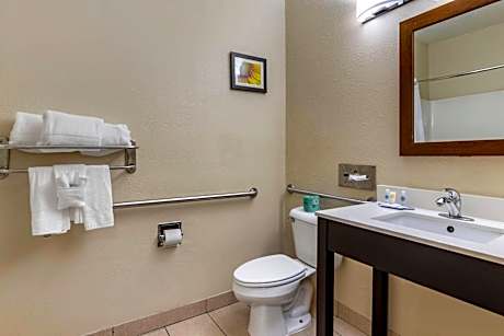 1 King Bed, Nonsmoking, Accessible