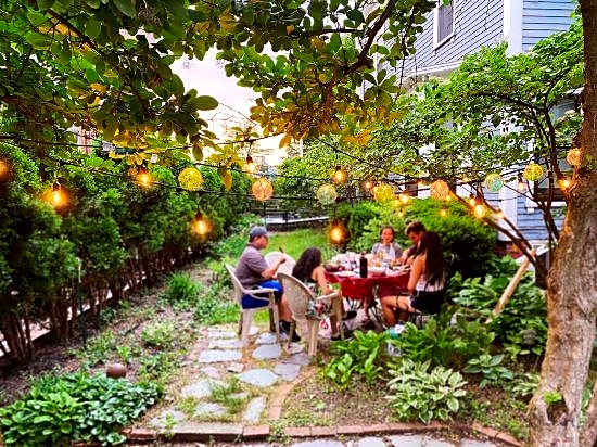 Ginkgo House On Harvard