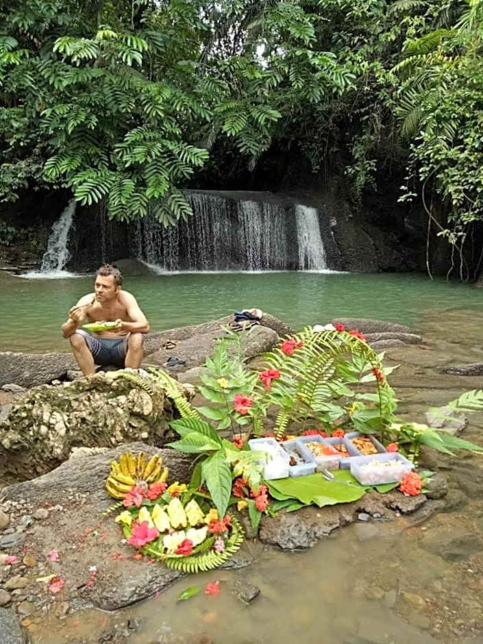 Green Forest Tangkahan
