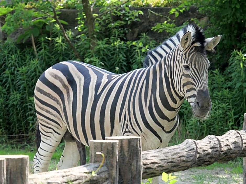 Toyoko Inn Nagoya-Eki Sakuradori-Guchi Honkan