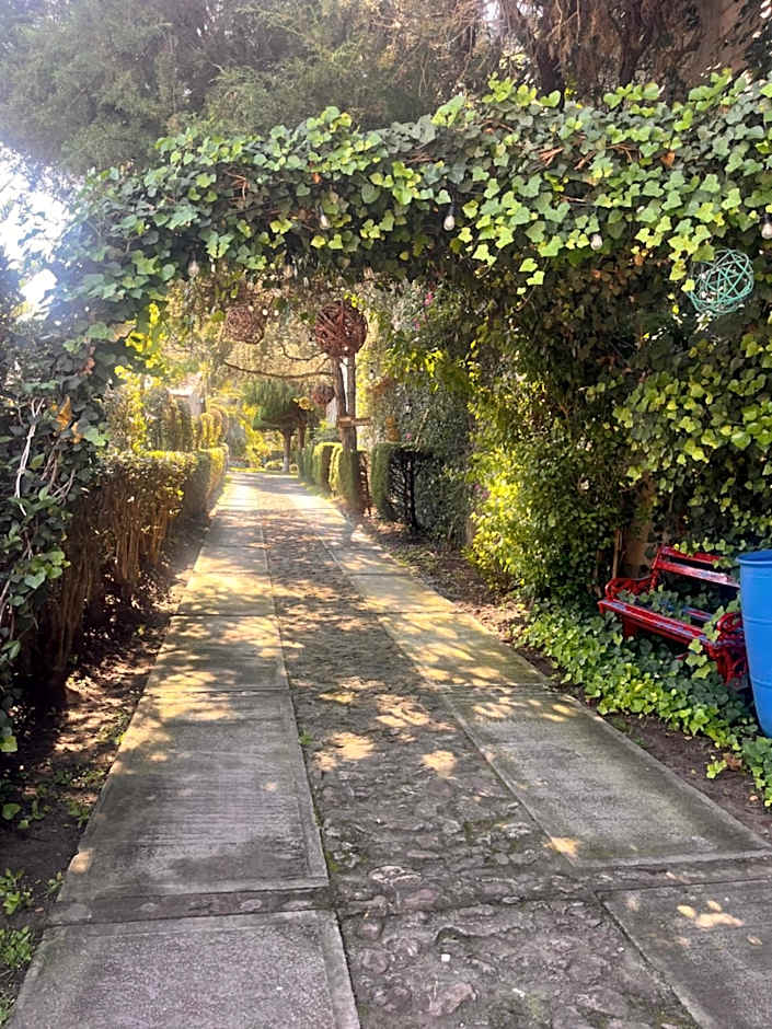 Cabañas Cumbres de Aguacatitla