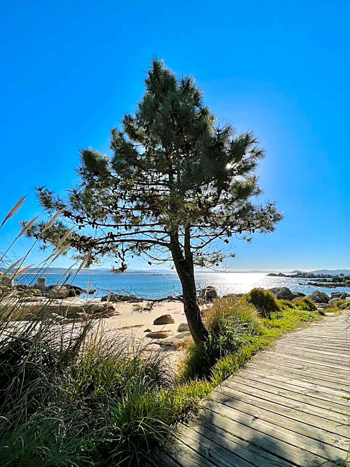 Terranam Bed & Breakfast