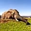 African Hills Safari Lodge & Spa