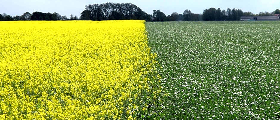 Hostel Herberg de Esborg Scheemda