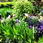 Hillcroft Luxury Bed & Breakfast