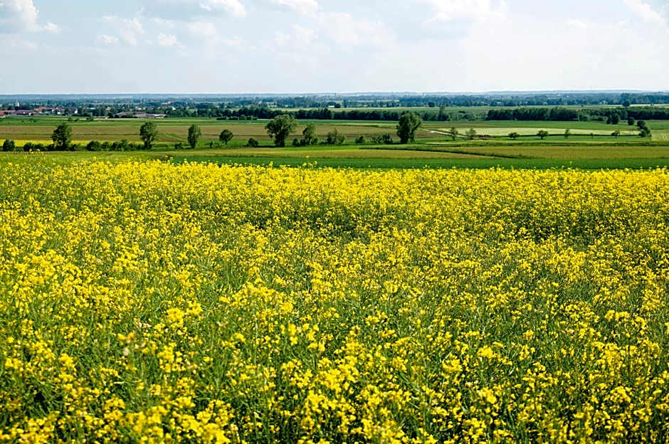 Hotel Zum Schlössle