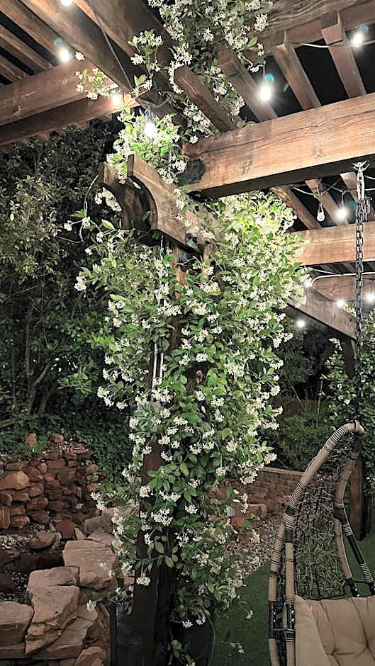 Lantern Light Inn - Romantic Getaway