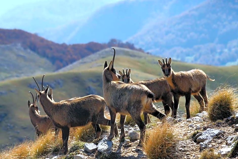 B&B La casa dei nonni