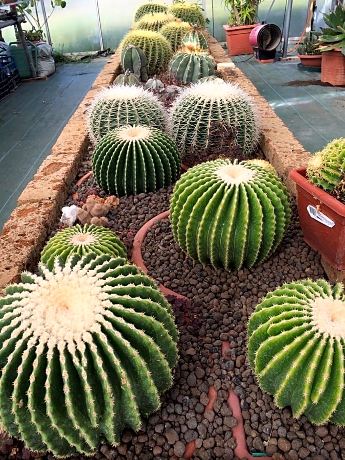 Villa Dell' Artista - Villa Anna