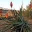 African Flair Country Lodge