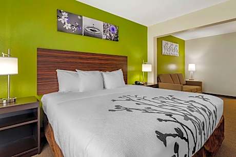 King Suite with Sofa Bed - Non-Smoking