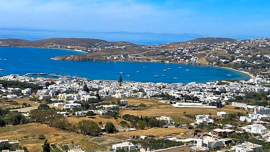 PAREA Blue Zone - Adults Only