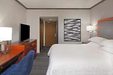 Accessible, Guest Room, 1 Double