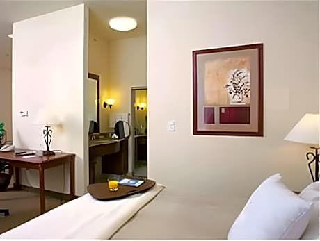 1 King Bed Studio Suite Nonsmoking